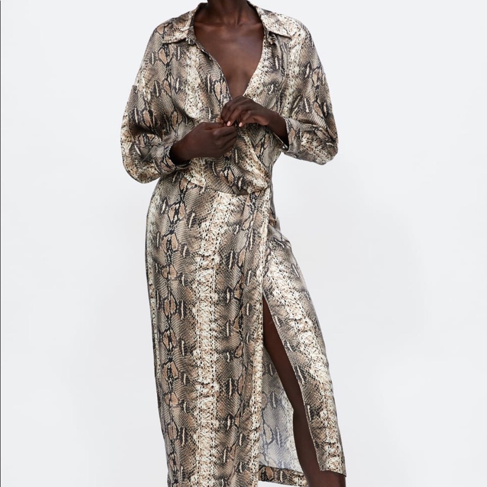 Zara snakeskin dress